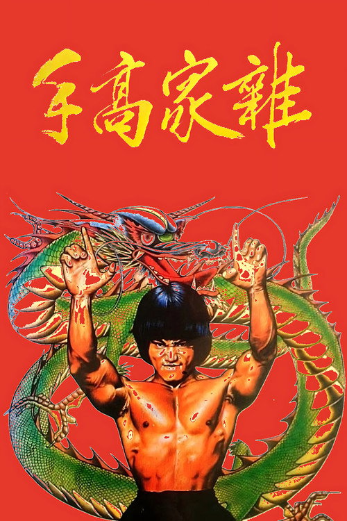 杂家高手 封面