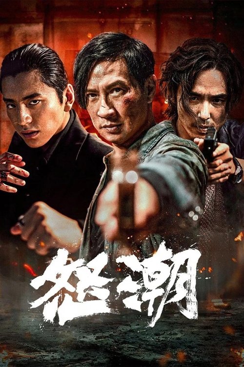 怒潮 封面