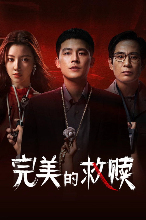 完美的救赎 封面