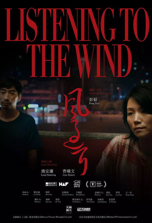 风过耳 封面