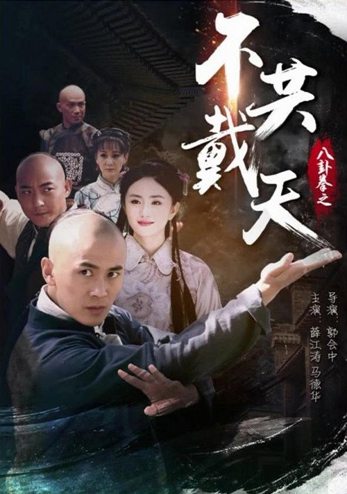 八卦拳之不共戴天 封面