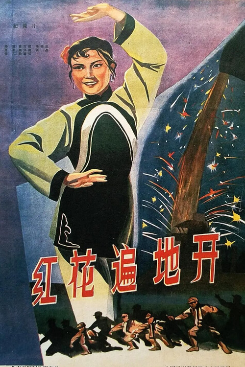 红花遍地开 封面