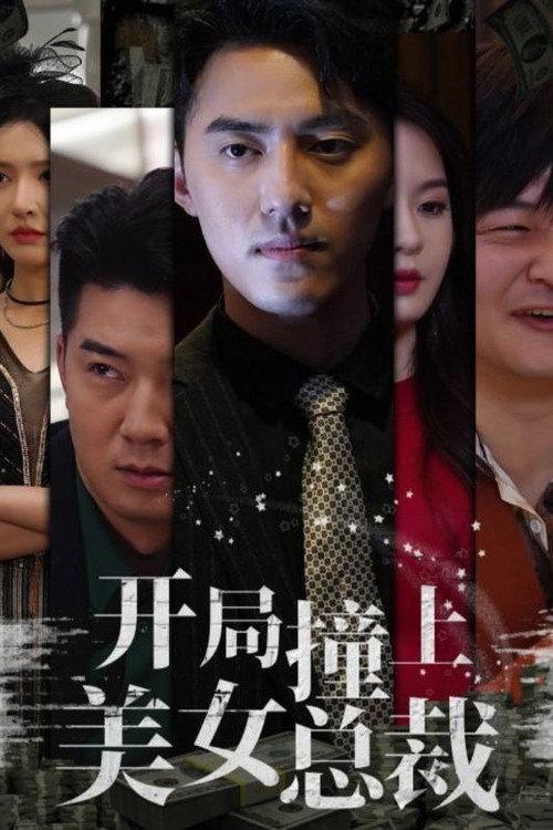 开局撞上美女总裁 封面