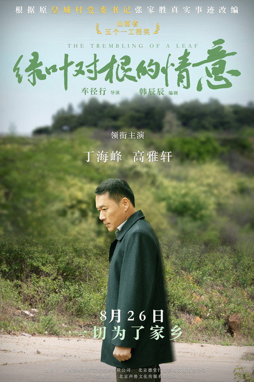 绿叶对根的情意 封面