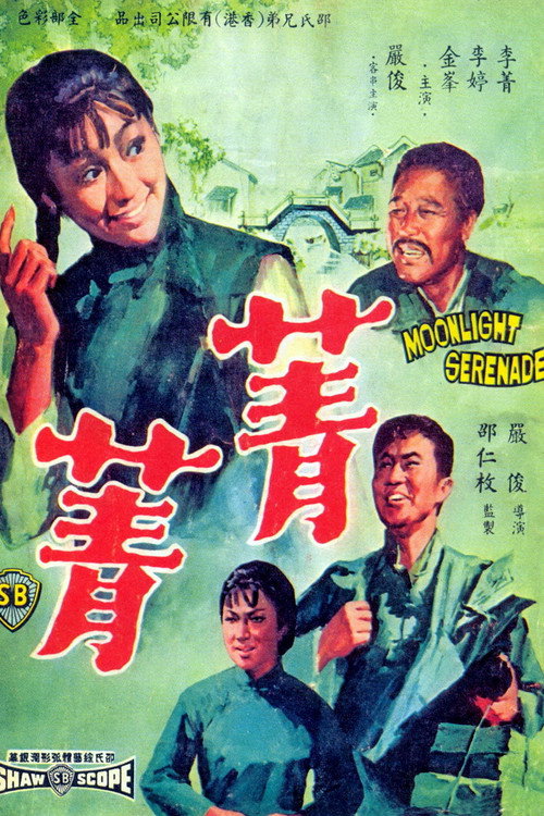 菁菁 封面