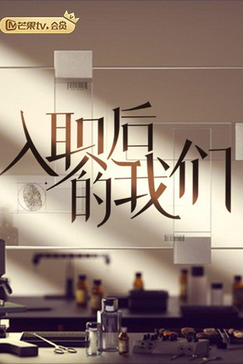 入职后的我们 封面
