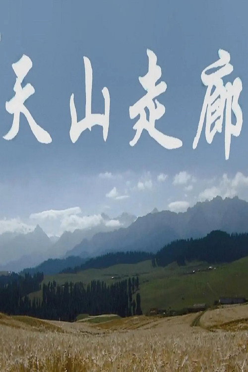 天山走廊 封面
