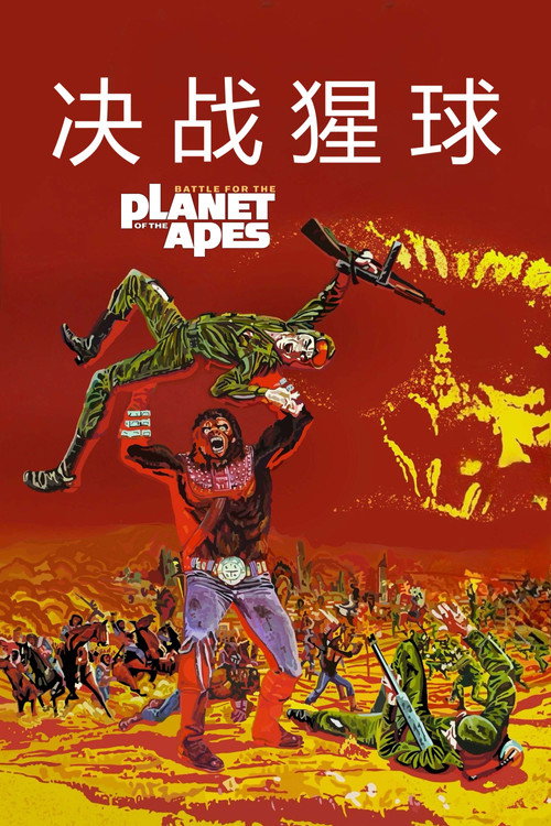 决战猩球 封面