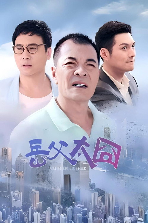 摩登岳父 封面