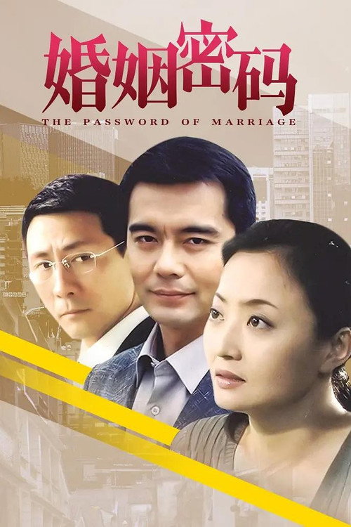 婚姻密码 封面