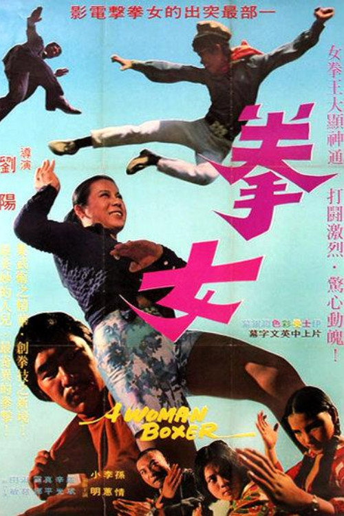 拳女 封面