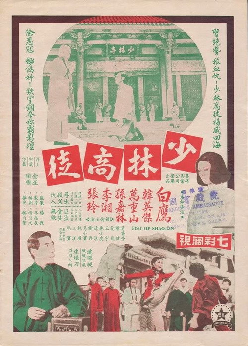 少林高徒 封面