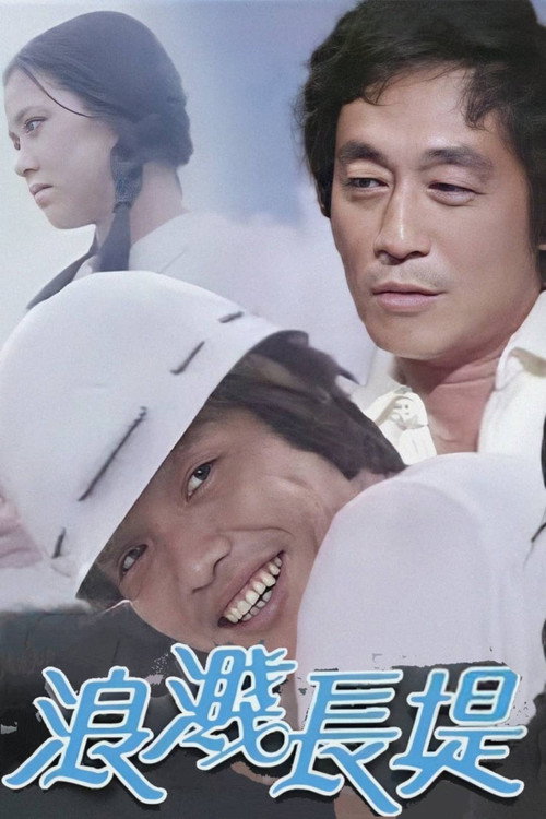 浪溅长堤 封面