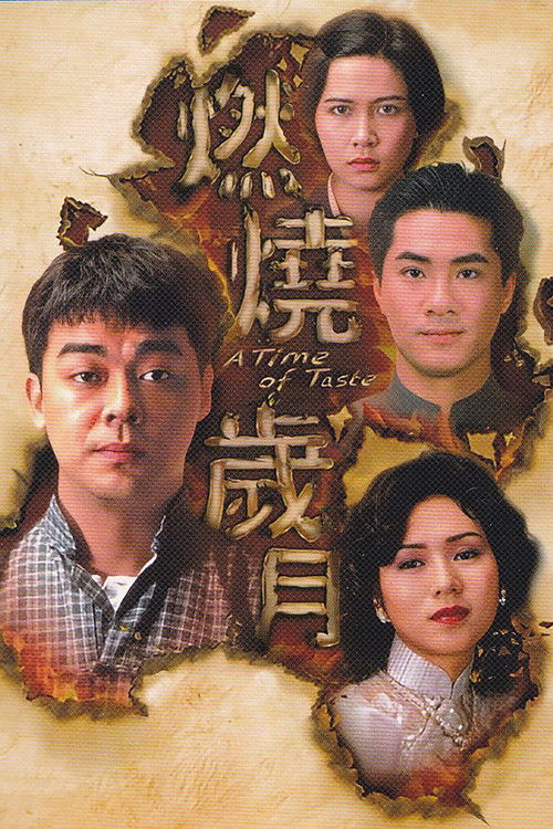 燃烧岁月 封面