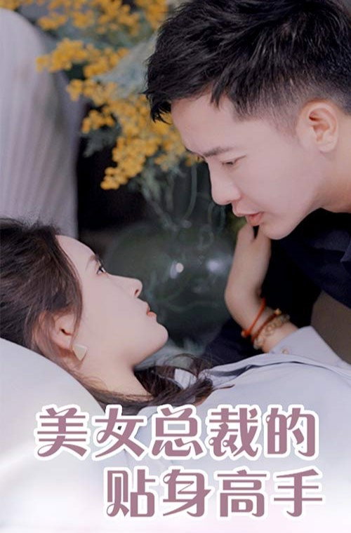 美女总裁的贴身高手 封面