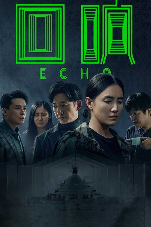 回响 封面