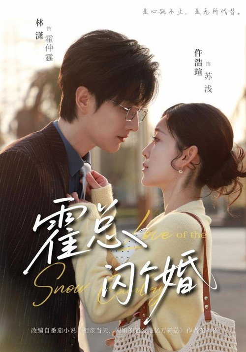 霍总，闪个婚 封面