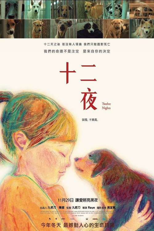 十二夜 封面
