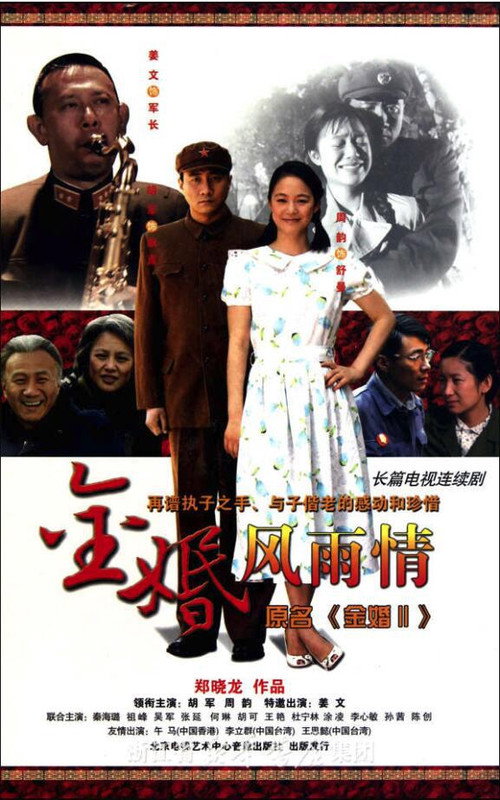 金婚·风雨情 封面