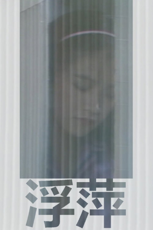 浮萍 封面