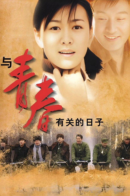 与青春有关的日子 封面