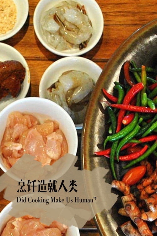 地平线系列:烹饪造就人类吗 封面