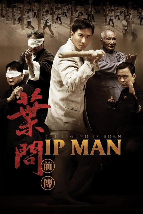 叶问前传 封面