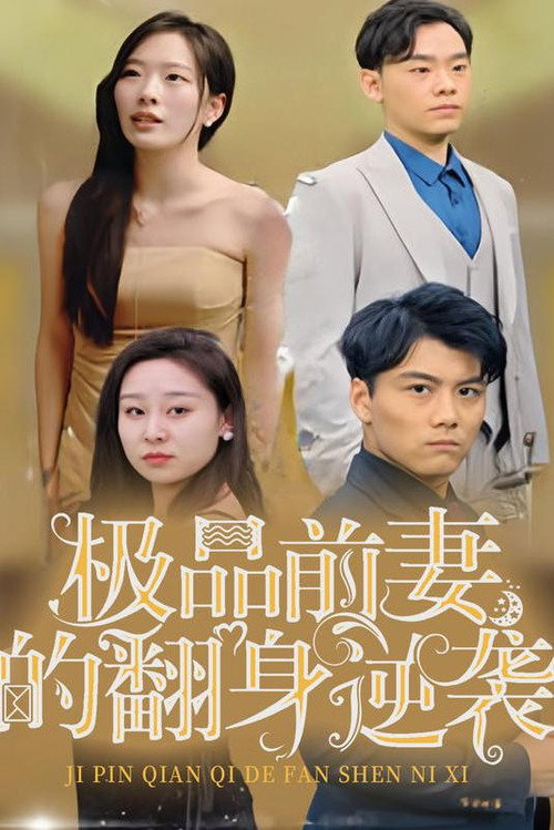 极品前妻的翻身逆袭 封面