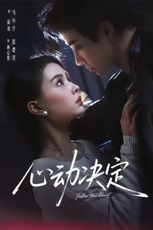 心动决定 封面