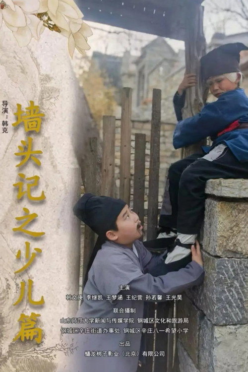 墙头记之少儿篇 封面