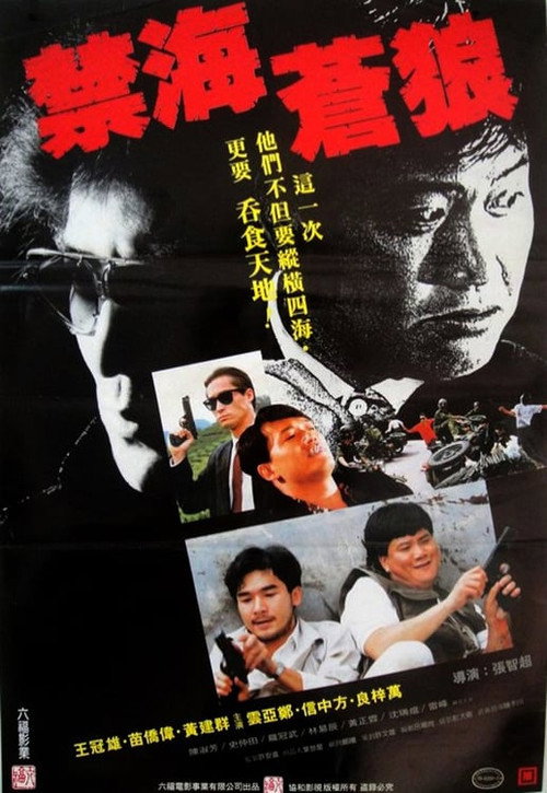 禁海苍狼 封面