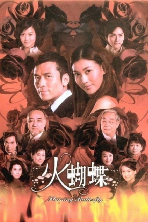 火蝴蝶 封面