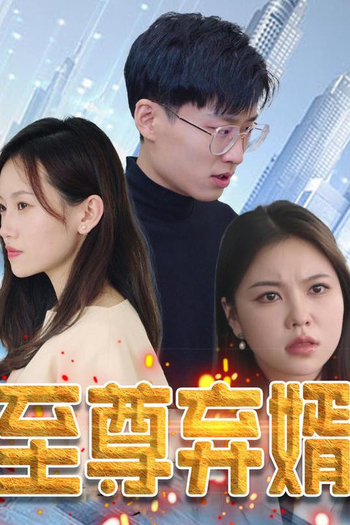至尊弃婿 封面