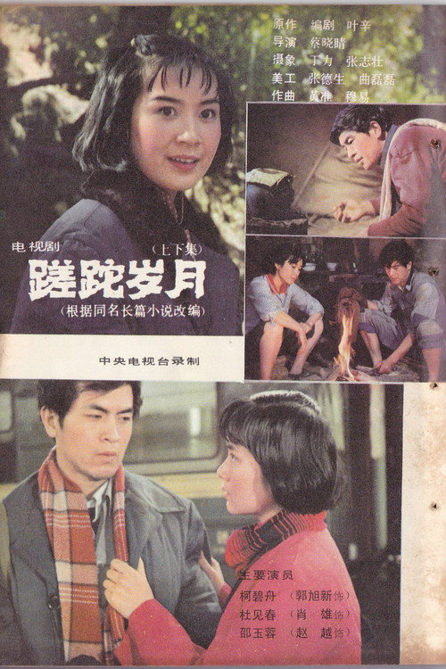 蹉跎岁月 封面