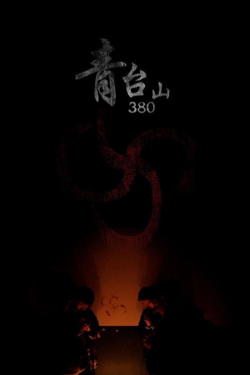 青台山380 封面