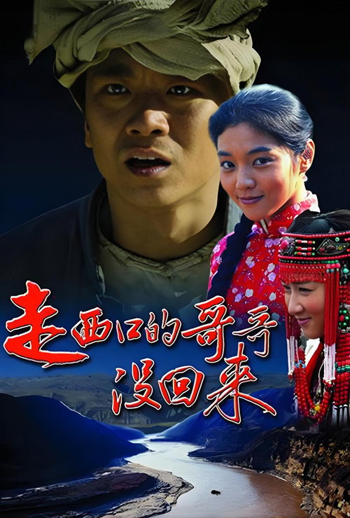 走西口的哥哥没回来 封面