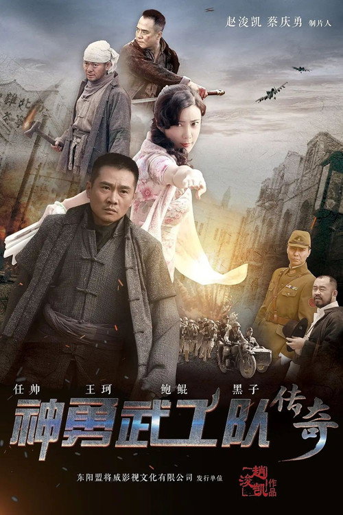 神勇武工队传奇 封面