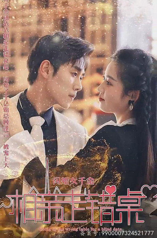 闪婚千金女，相亲走错桌 封面