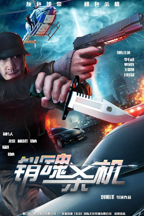 销魂杀机 封面