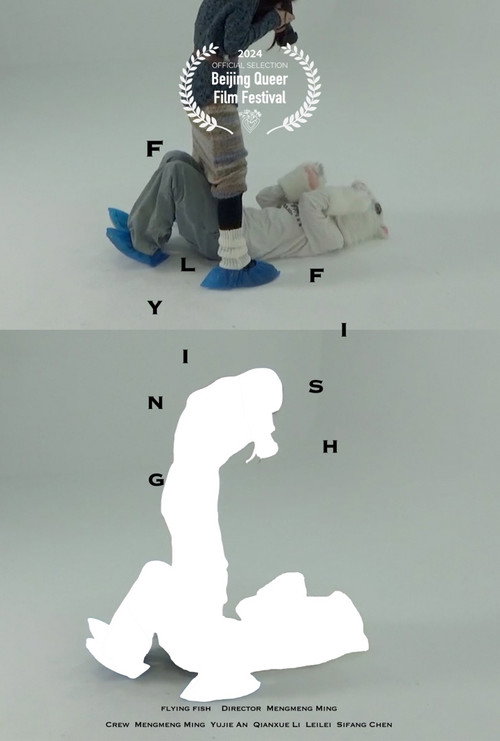 会飞的鱼 封面