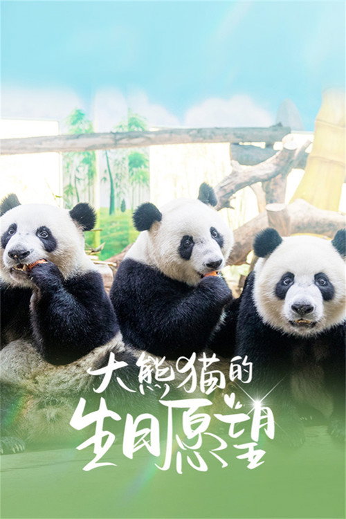 大熊猫的生日愿望 封面