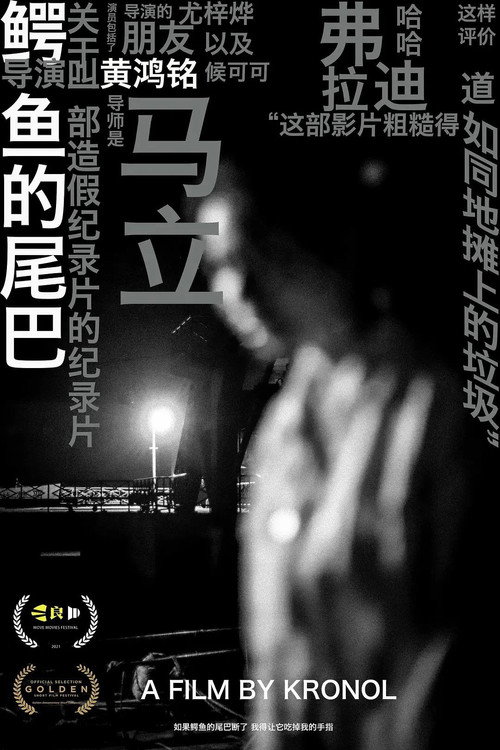 鳄鱼的尾巴 封面