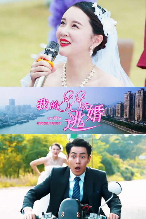 我的88次逃婚 封面