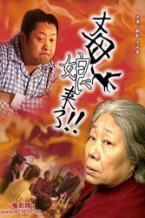 丈母娘来了 封面