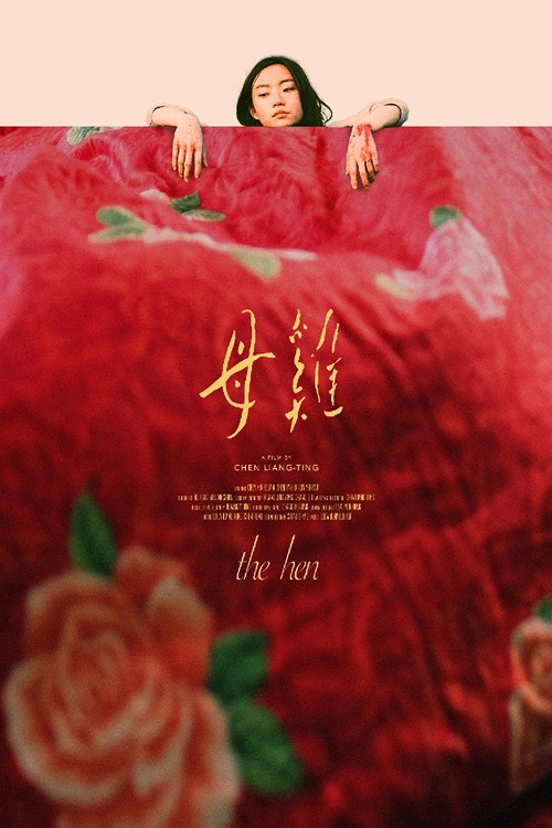 母雞 封面