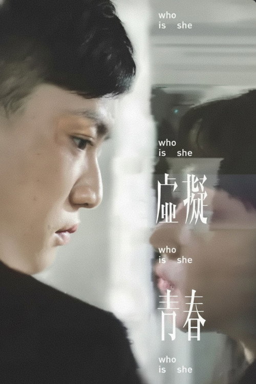 虛擬青春 封面