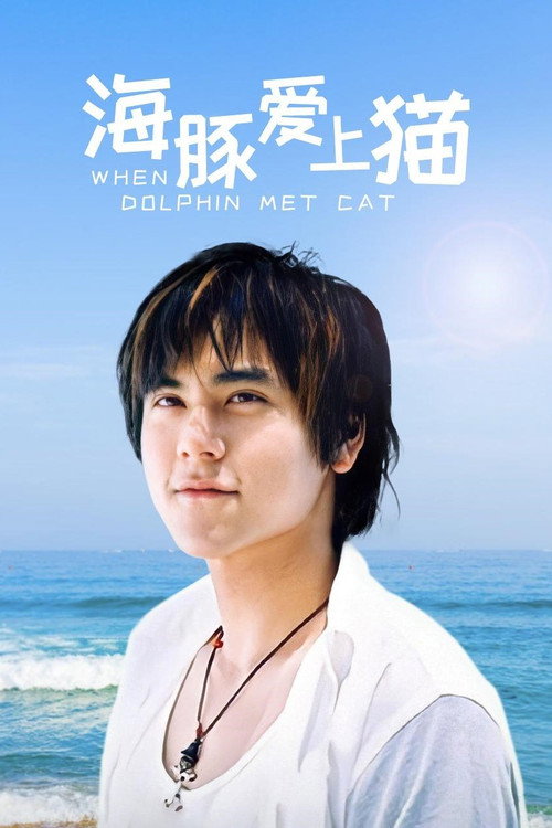 海豚爱上猫 封面