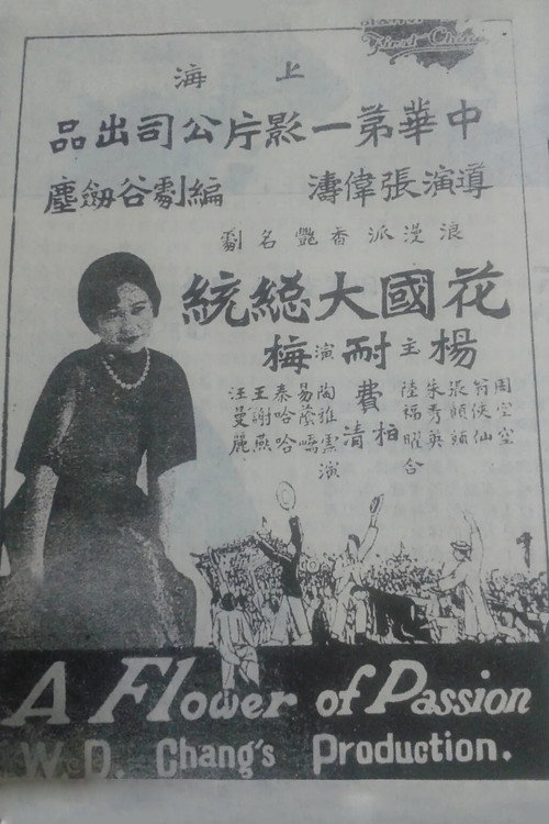 花國大總統 封面