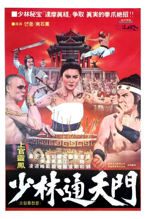 十大掌门闯少林 封面