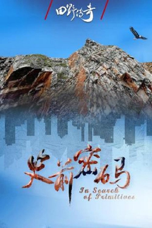 田野传奇 封面
